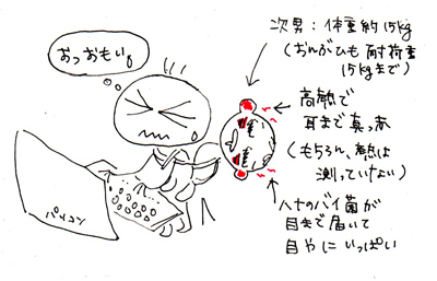 e売るしくみ研究所スタッフブログ